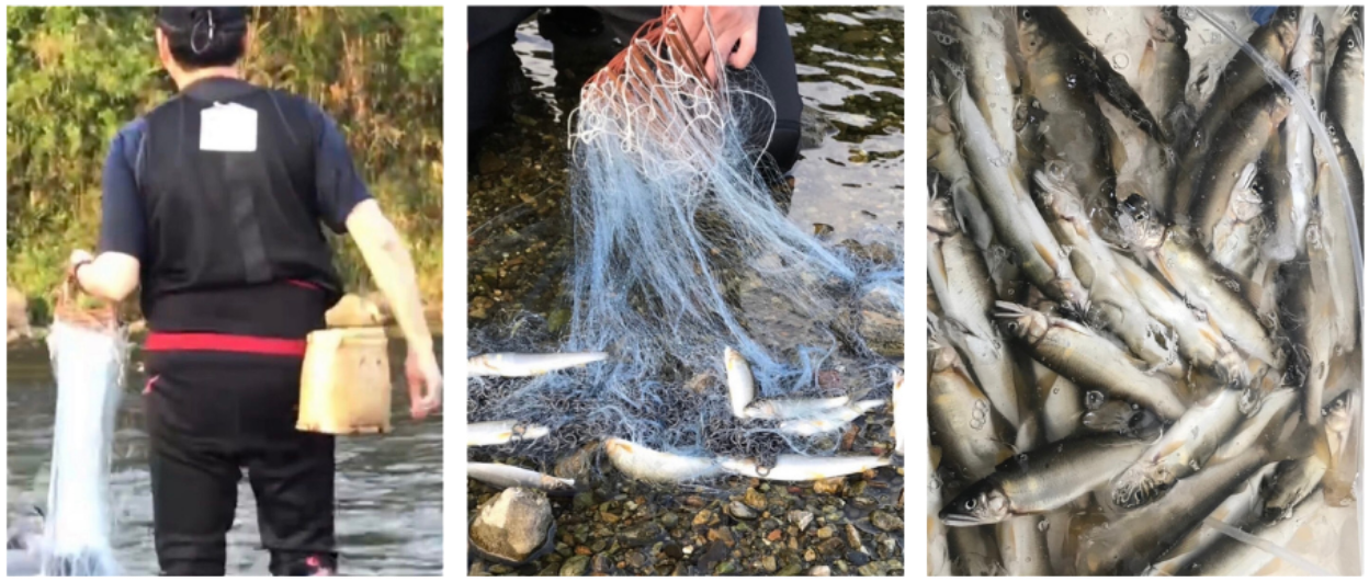 名称未設定のデザイン (2)